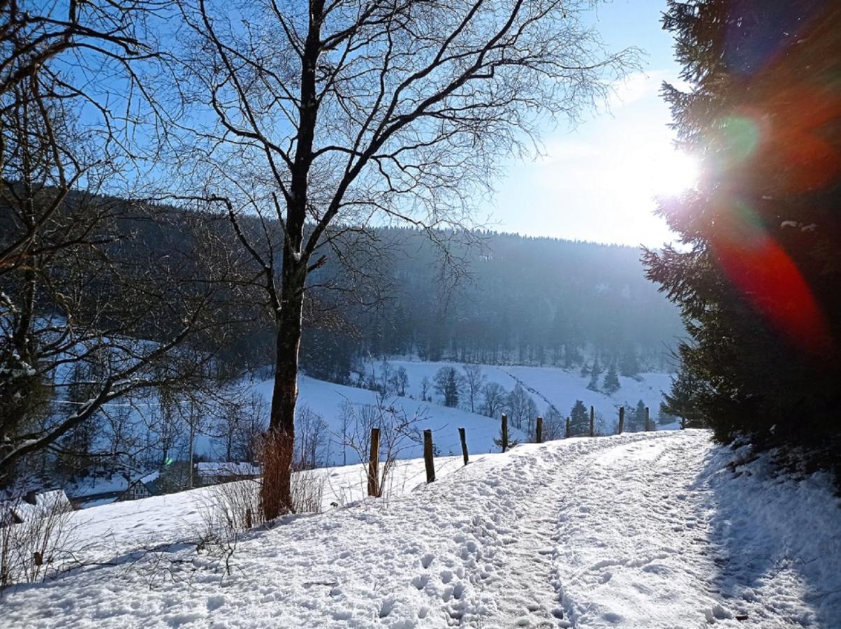 Haus Wald-Eck Apartment ชมาลเลนแบร์ก ภายนอก รูปภาพ