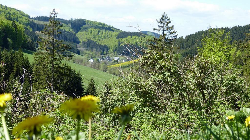 Haus Wald-Eck Apartment ชมาลเลนแบร์ก ภายนอก รูปภาพ